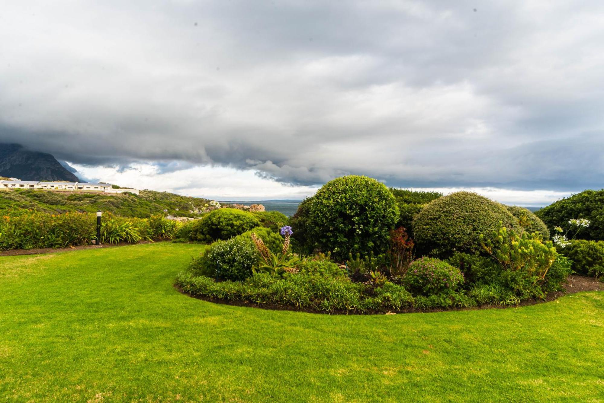 Bayview 307 Apartment Hermanus Exterior photo